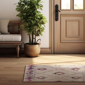 Cozy entryway with plant and patterned rug
