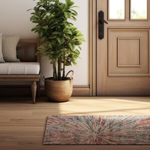 Cozy entryway with plant and colorful rug