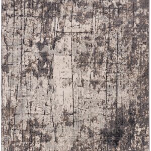 citak,taos,paseo, 1720/025 beige,area rug,runner,contemporary