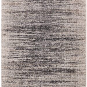 citak,taos,sandstorm, 1760/025 beige,area rug,runner,contemporary