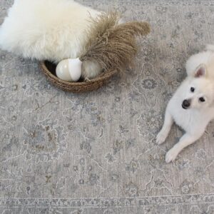 Dog on ornate rug with basket and cushion.