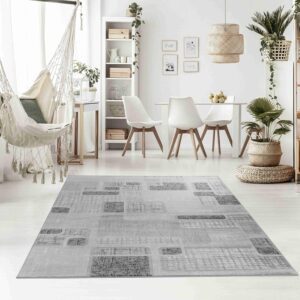 Modern cozy living room with rug and plants.