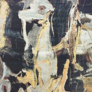 stevens omni,vanguard 1290 nbco,area rug,abstract