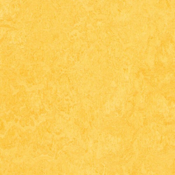 Yellow textured wall background