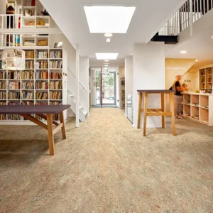 Modern library with bookshelves and carpet flooring.