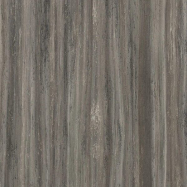 Close-up of gray wood texture