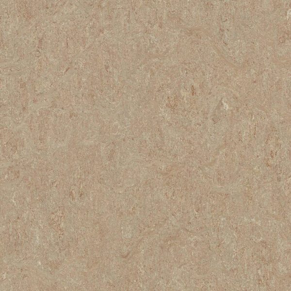 Beige textured stone surface