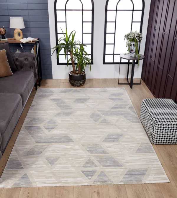 Modern living room with patterned rug and indoor plants.