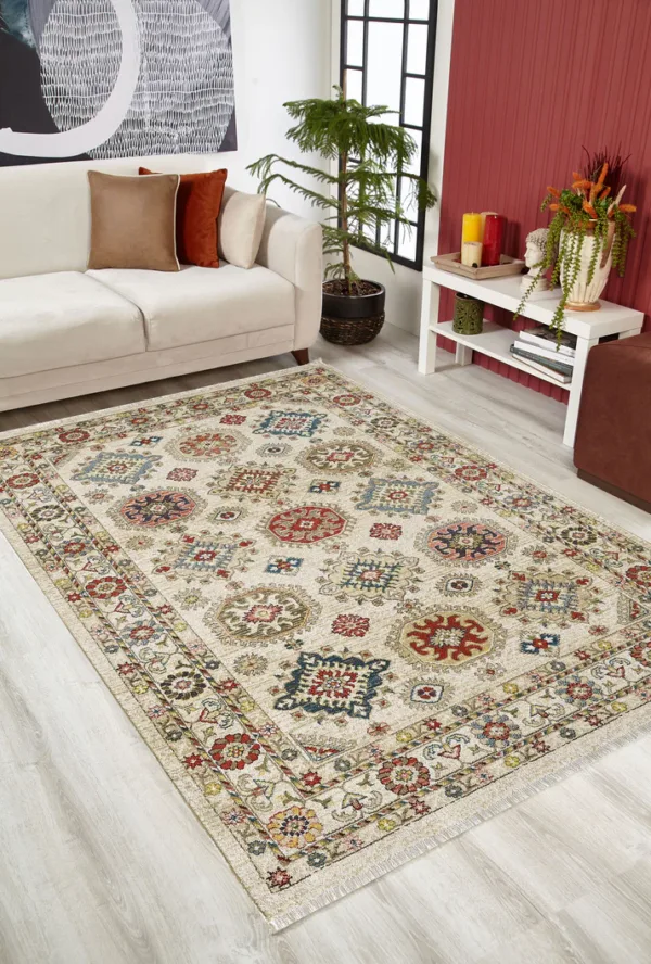 Living room with patterned area rug, sofa, and plants.