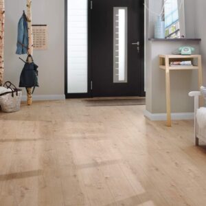 Modern entryway with wooden floor and bench seating.