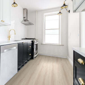 gallo xtra alboro 8081