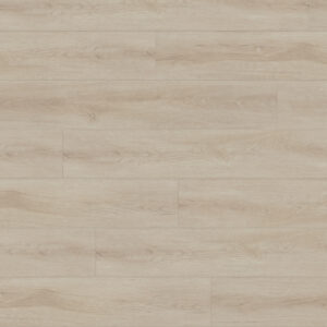 gallo xtra alboro 8081