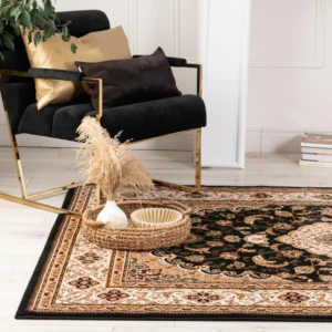 Elegant armchair with pillows on patterned rug.