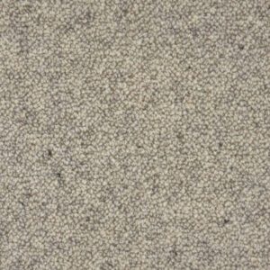 Close-up of beige textured carpet surface.