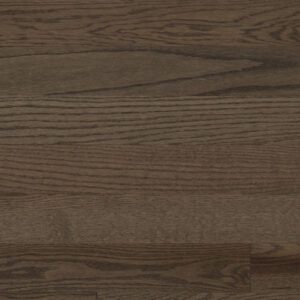 Signature Collection - Latte