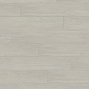 gallo xtra agostino 8080